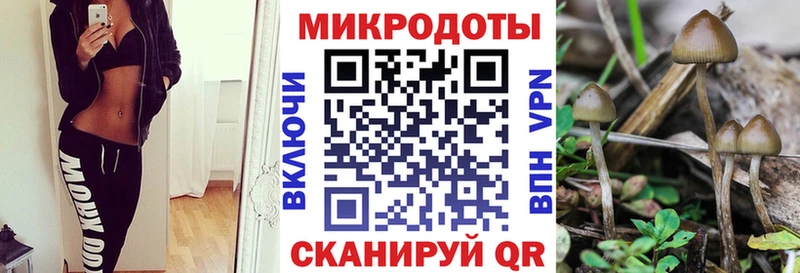 это телеграм  Сим  Галлюциногенные грибы GOLDEN TEACHER 